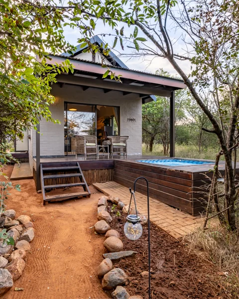 Lion's Den | Wild Heart Safari Lodge