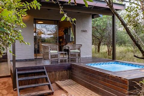 Lion's Den | Wild Heart Safari Lodge
