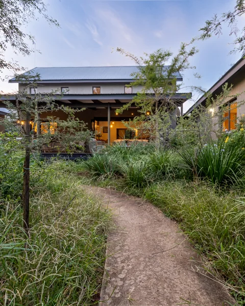 Wild Heart Safari Lodge