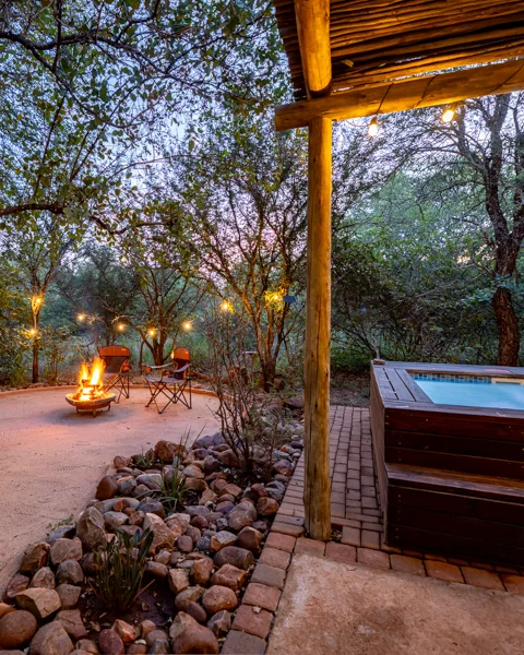 Zesty Zebra | Wild Heart Safari Lodge
