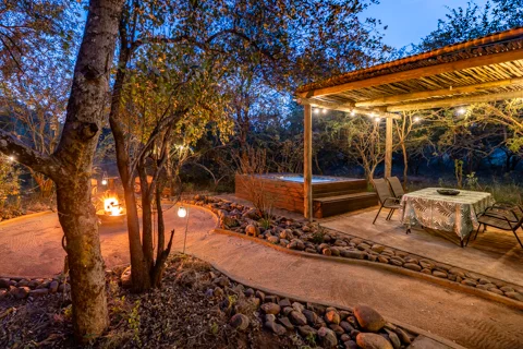 Zesty Zebra | Wild Heart Safari Lodge