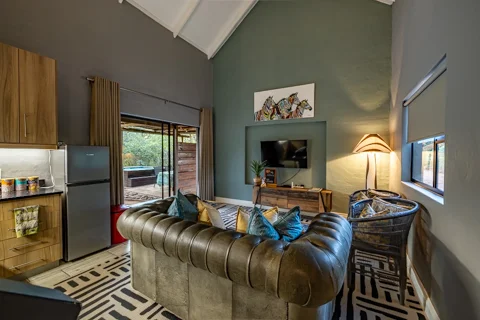 Zesty Zebra | Wild Heart Safari Lodge